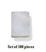 Shell Beads