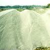 white CLAY BENTONITE