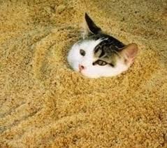 High Quality Bentonite for Kitty Litter