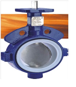 Butterfly Valve