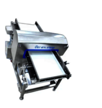 Grain Metal Detector