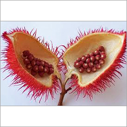 Annatto Seed