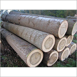 Pine Wood Logs