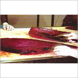 Canned Tuna Fish