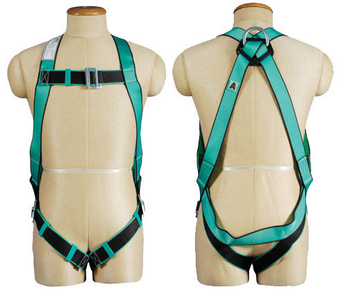 Safety Belt Harness