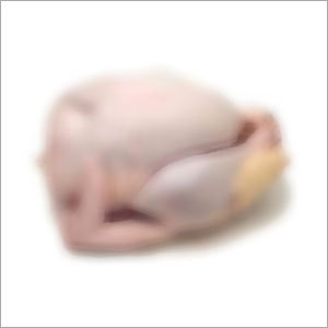 Frozen Turkey Meat