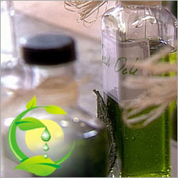 Basil Oil