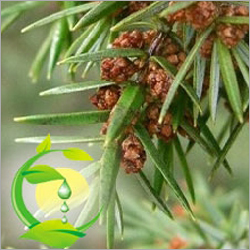 Cade Oil
