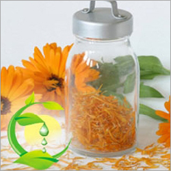 Calendula Oil