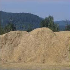 Sawdust
