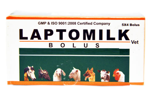 Laptomilk Bolus (Veterinary)