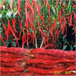 Chilies Seeds