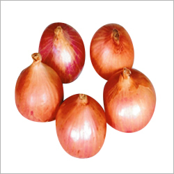 Onion Seeds