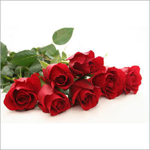Rose Flowers