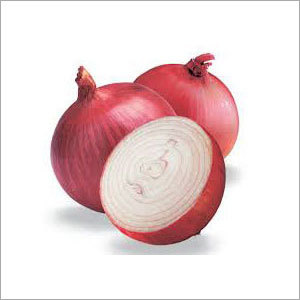 Organic Red Onion