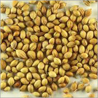 Ground Coriander Seeds