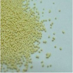Phytase Enzyme