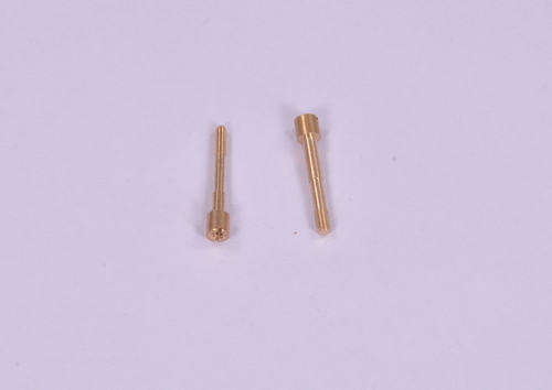 Brass Sealing Screws