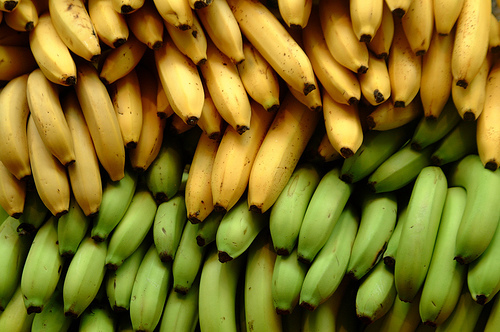 Fresh Bananas