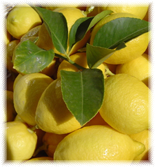 Fresh Fruits