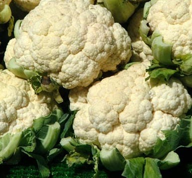 Cauliflower