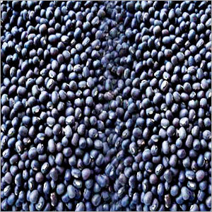 Black Urad Pulses