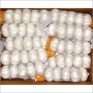 Fresh White Garlic
