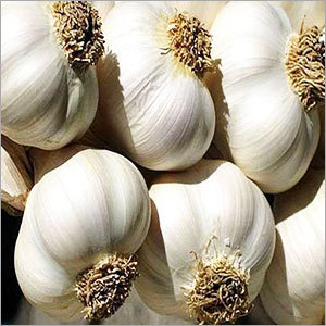 Garlic Bulbs