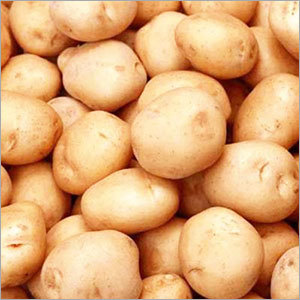 Sugar Free Potato