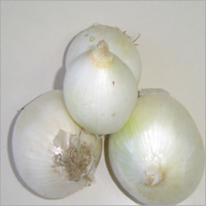 White Onion