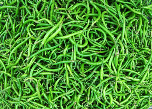 Spices