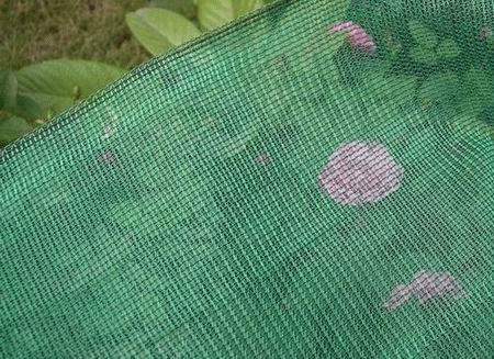 Garden Net - Application: Agriculture