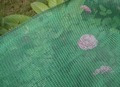 Garden net