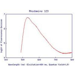 Rhodamine Dyes