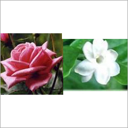 Flowers - Roses and Jasmines, Fresh Fragrance, Hygienic Packaging, Timely Delivery, Event Decoration