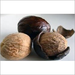 Nut Mug - Sri Lankan Origin, Yellowish-Brown Mace, Two Months Seed Drying | Herbal, Medicinal, Warm Flavor, Culinary Uses, Various Packaging