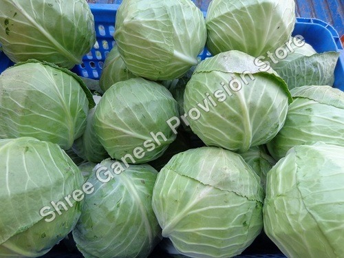 Cabbage (Kobi)
