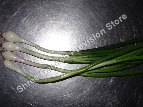 SPRING ONION