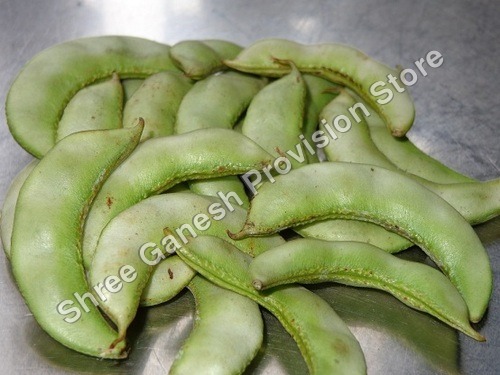 SURTI PAPADI