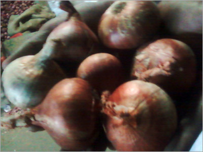 Fresh Indian Yellow Onion