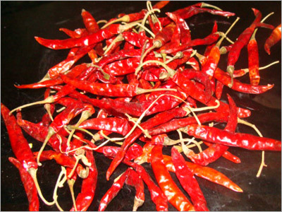 Spicy Red Chilli