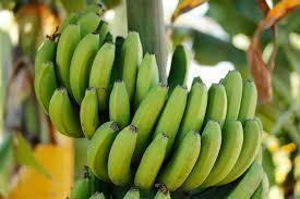 green banana