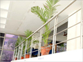 Stainless Steel Railings