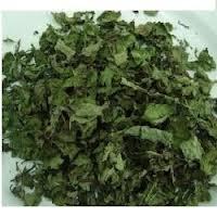 mint leaf spinach