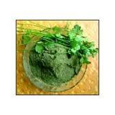 coriander leaf & powder