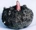 Attapulgite