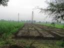 Lignite for Agriculture