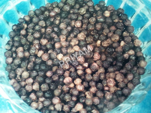 Black Pepper Seeds