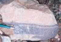 Chrome Lignite