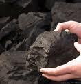 Pulverised Lignite Powder